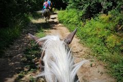 2019-07-24-km-à-cheval-dans-le-Maconnais-1